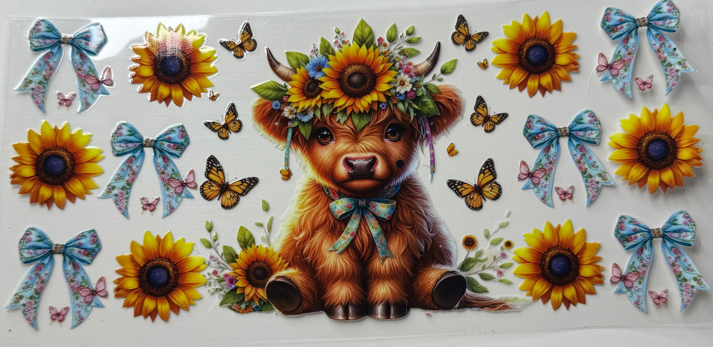Cows
