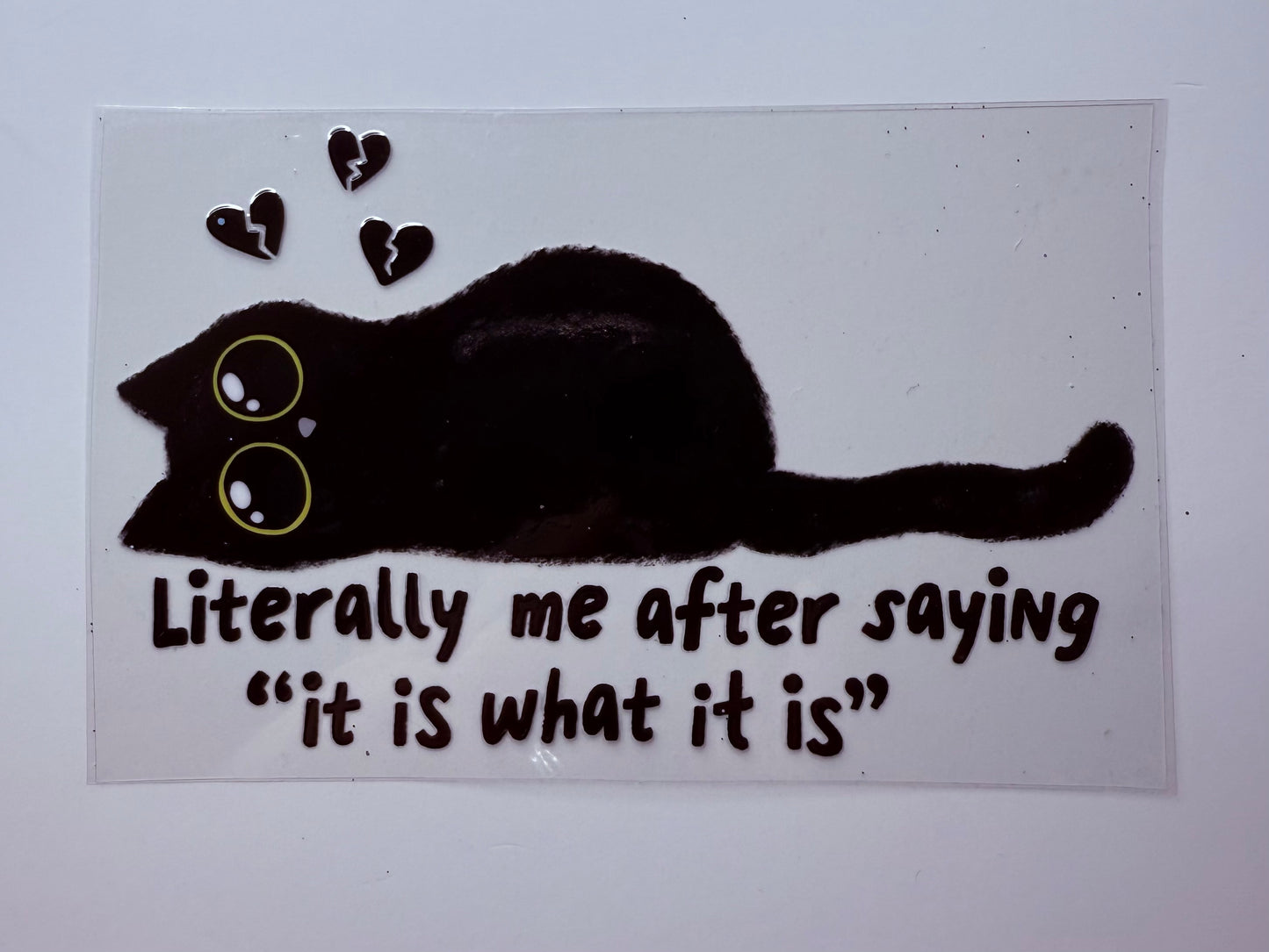 Black cat