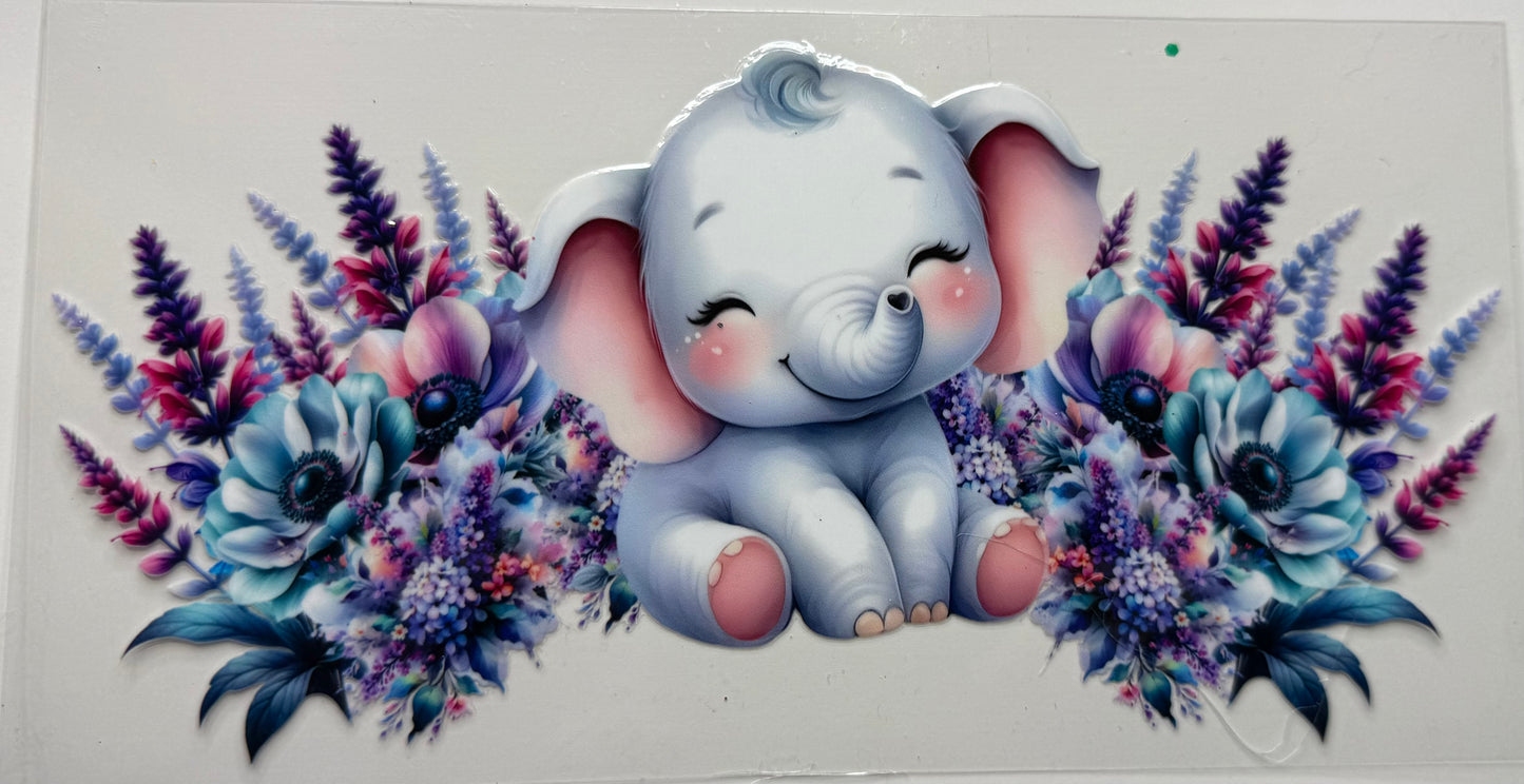Baby Elephant