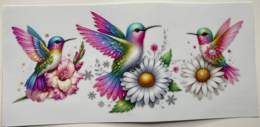 Daisy 2 Hummingbird