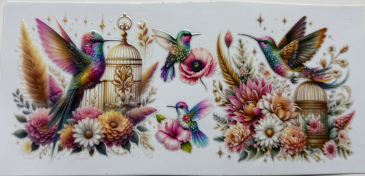 Rainbow Flower Hummingbird