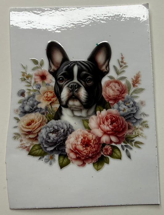 Frenchie 4