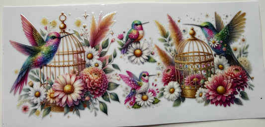 Daisy Hummingbird