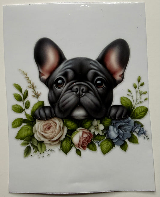 Frenchie 2