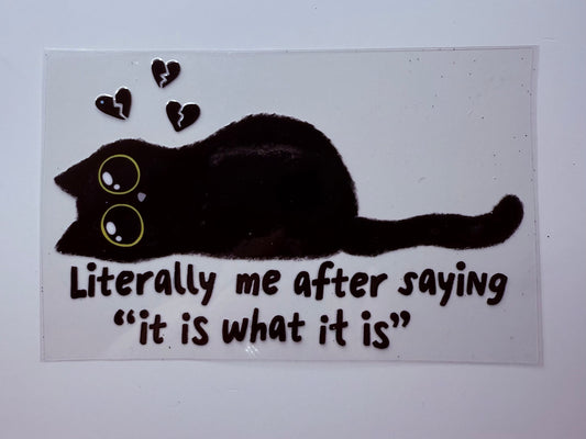 Black cat