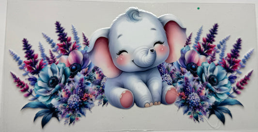 Baby Elephant